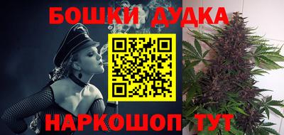 шишки Будённовск