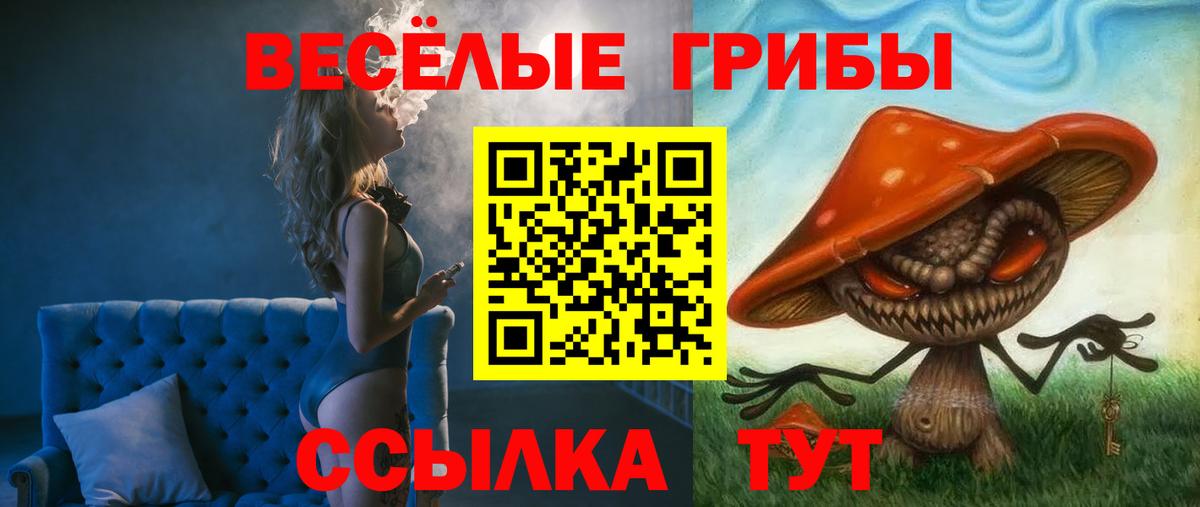 Ступино  Псилоцибиновые грибы мухоморы  Вход с VPN  Псилоцибиновые грибы GOLDEN TEACHER 